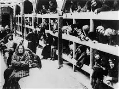 Qui dirigeait la Schutzstaffel, principal organisme qui traquait les Juifs en Allemagne ?