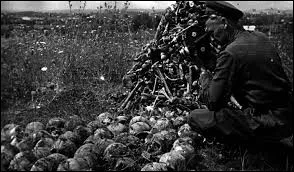 D&eacute;but 1941, o&ugrave; Hitler voulait-il d&eacute;porter les Juifs ?