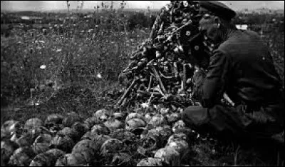 Dans quel pays actuel le massacre de Babi Yar a-t-il &eacute;t&eacute; perp&eacute;tr&eacute; ?