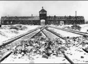 Quiz La Shoah : hommage aux victimes (5)