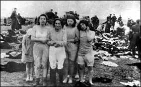 Quelle proportion de Juifs a fait partie des victimes du camp d'Auschwitz ?