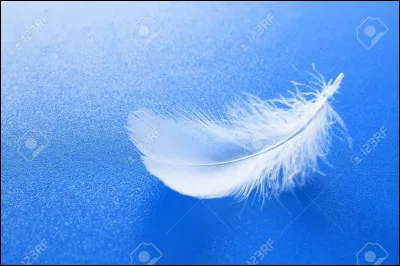 Il existe un film dans lequel un éléphant tient une plume pour parvenir à voler...