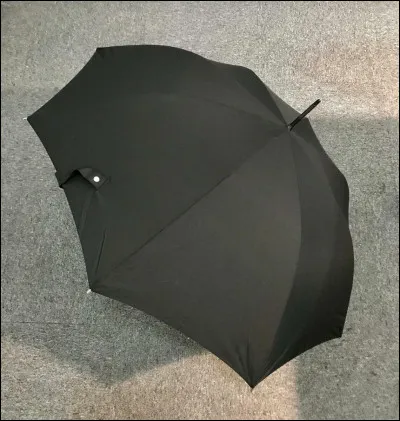 Il existe un film dans lequel Sean Connery chasse des rats avec un parapluie...