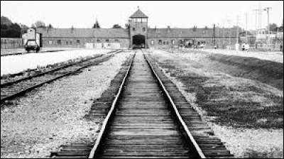 A Auschwitz, où les prisonniers russes étaient-ils tatoués ?
