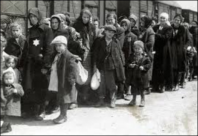 Quelle organisation est créée au sein du camp d'Auschwitz pour mettre en place la résistance internationale ?