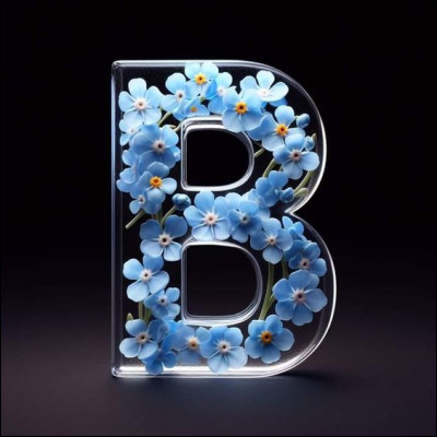 Bérézina : qu'est-ce ?