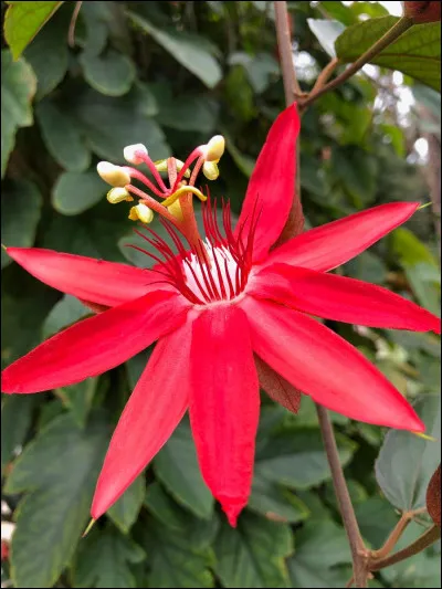 Quelle est ta passion ?