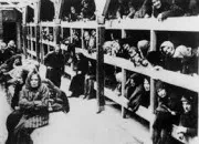 Quiz La Shoah : hommage aux victimes (7)