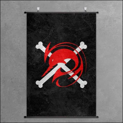 À qui appartient ce drapeau ?