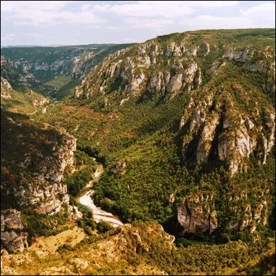 Quelles gorges observables depuis le Point Sublime, sur le causse de Sauveterre, sont très appréciées des amateurs de canoë-kayak ?