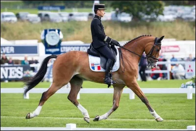 À quels Jeux olympiques le Cadre noir décroche-t-il ses premières médailles ?