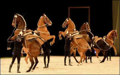 Rapidement cette école ligérienne devient la référence et quelle obligation est faite pour les autres écoles de cavalerie ?