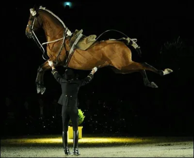 La dénomination du Cadre noir actuel vient...