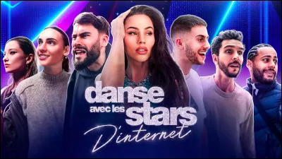 Sur quelle chaîne de télévision l'émission "Danse avec les stars" est-elle diffusée ?