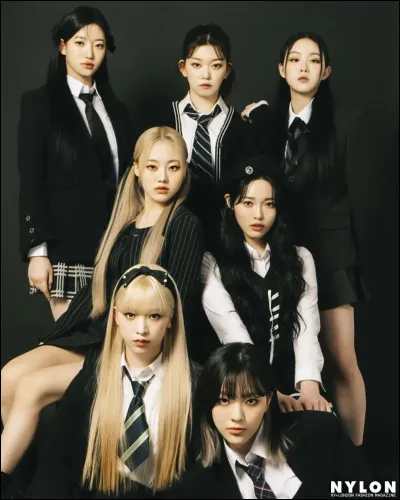 Si tu étais une idole de K-pop, tu serais : (1)