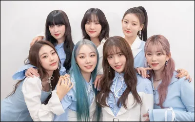 Si tu étais une idole de K-pop, tu serais : (2)