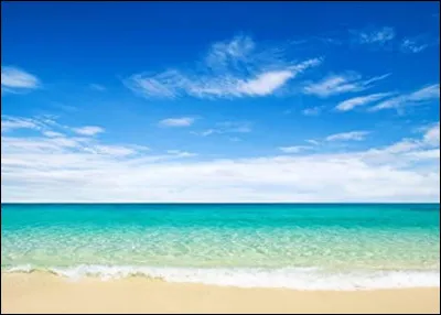 Tu es en vacances, où veux-tu partir ?