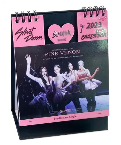 Dans un groupe de k-pop, quel rôle est ton favori ?