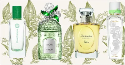 Promoteur de ponts !