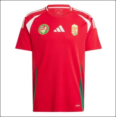 À quelle équipe appartient ce maillot ?