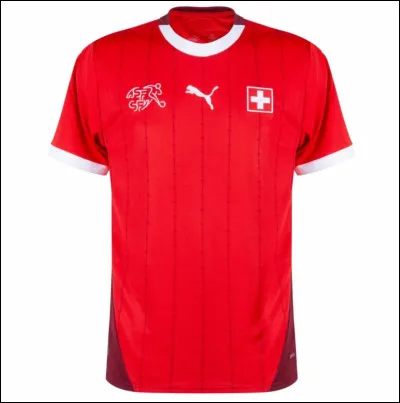 À quelle équipe appartient ce maillot ?