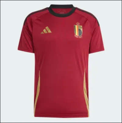 À quelle équipe appartient ce maillot ?