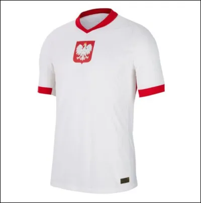 À quelle équipe appartient ce maillot ?