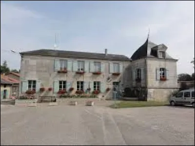 Ancienne commune de l'arrondissement de Commercy, sur la rive gauche de la Meuse, Ville-Issey se situe dans le département ...