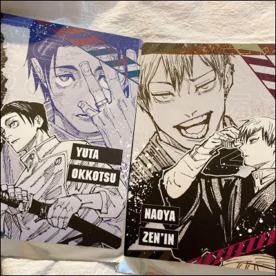 Elle est une Zen'in :