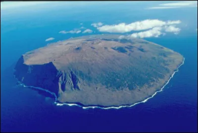 L'Île d'Amsterdam est une petite île française située dans l'océan Indien.
Quelle espèce d'oiseau est endémique ?