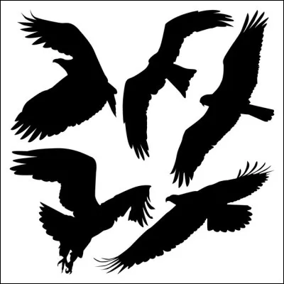 Dans ce quatuor, quel oiseau n'est pas un rapace ?