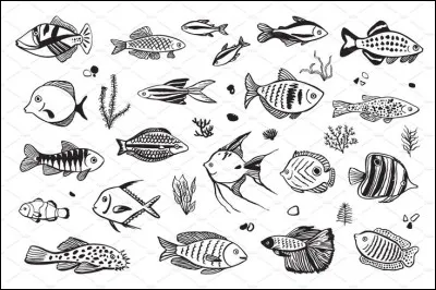 Dans ce quatuor, quel animal marin n'est pas un cétacé ?