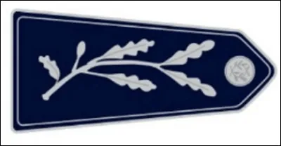 Dans ce quatuor, quel grade n'existe pas dans l'armée de Terre française ?