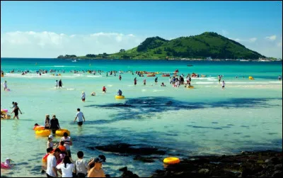 Quelle est cette île de Corée du Sud, située au sud du pays, au climat doux et aux paysages semblant tropicaux ?