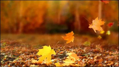 Qui est l'auteur du poème intitulé "Automne malade" ?