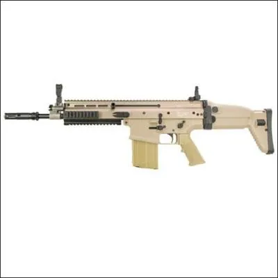 Quel est le nom de cette arme ?