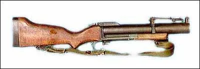 Quel est le genre de cette arme ?