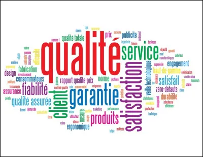 Quelle est ta plus grande qualité ?