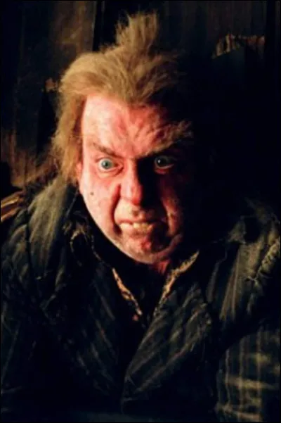 Peter Pettigrow était à Gryffondor.