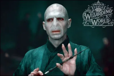 C'est avec un Stupéfix que Harry tue Voldemort.