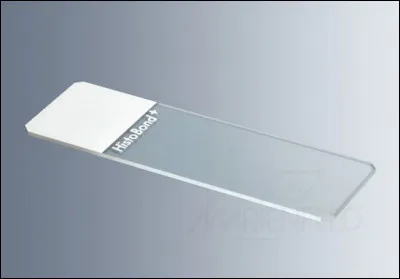 Quel est le nom de la petite plaque de verre utilisée pour poser et maintenir un échantillon préparé pour une observation au microscope ?