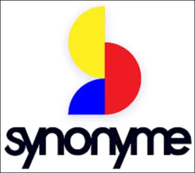 Quel mot est synonyme de ''plaque'' ?