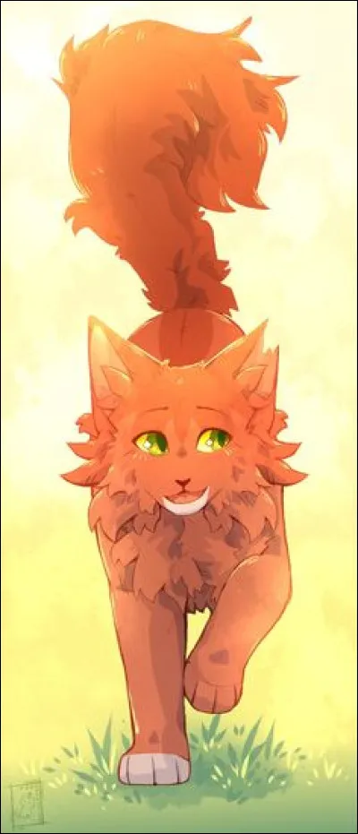 Quels chats sont amoureux de Poil d'Écureuil ?