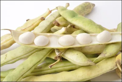 Quelle est cette variété de haricot blanc demi-sec à écosser, riche en fibres ?