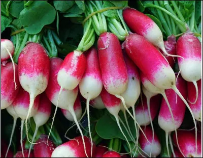 Quelle est cette variété de radis semi-long, rouge à bout blanc, à chair blanche et ferme ?