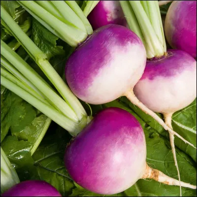 Quelle est cette variété de navet du Grand Est, résistante au froid qui a une racine charnue à col violet, sa chair est ferme et sucré ?