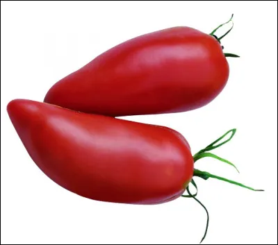 Quelle est cette variété de tomate rustique en forme de piment, originaire d'Amérique du Sud ?