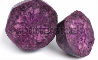 Quelle est cette variété de pomme de terre oblongue à peau épaisse bleu foncé et à chair bleu violet ?