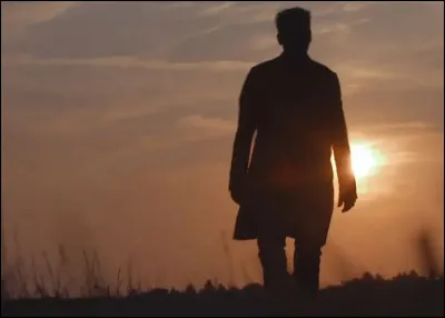 ''L'Avenir'' est le 20e album studio de quel chanteur ?