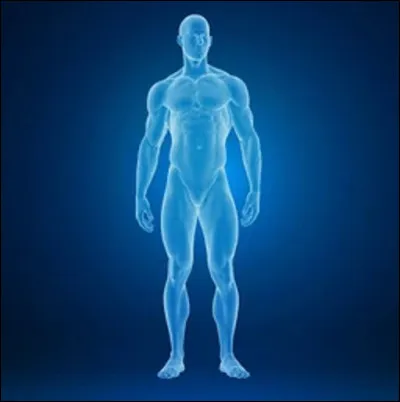 Sur le corps humain, où peut-on avoir des pattes d'oie ?